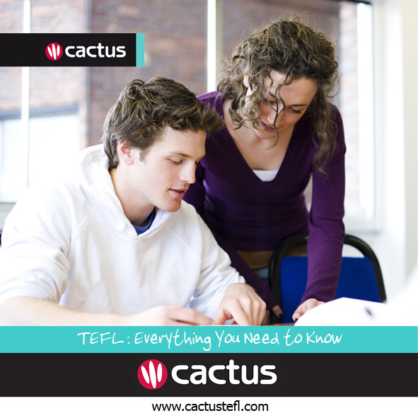 TEFL everything you need to know
