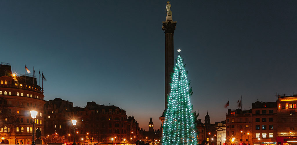 Christmas Tree in Trafalgar Square